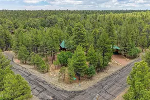 3009 Starlight Dr, Happy Jack, AZ 86024 - Photo 28