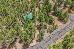 3009 Starlight Dr, Happy Jack, AZ 86024 - Photo 32