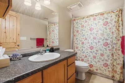 3009 Starlight Drive, Happy Jack, AZ 86024 - Photo 16