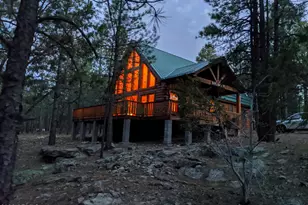 3009 Starlight Dr, Happy Jack, AZ 86024 - Photo 2