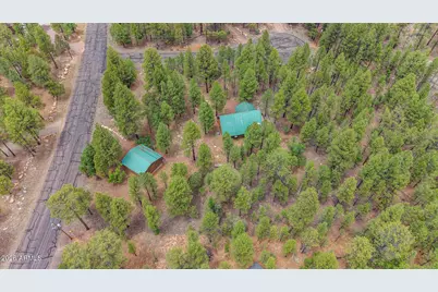 3009 Starlight Drive, Happy Jack, AZ 86024 - Photo 30