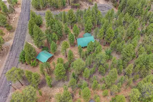 3009 Starlight Dr, Happy Jack, AZ 86024 - Photo 30