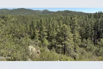 6687 E Mountain View Road, Crown King, AZ 86343 - Photo 4