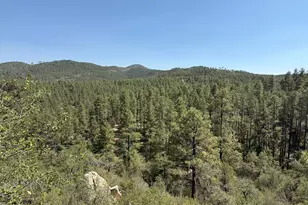 6687 E Mountain View Rd, Crown King, AZ 86343 - Photo 4