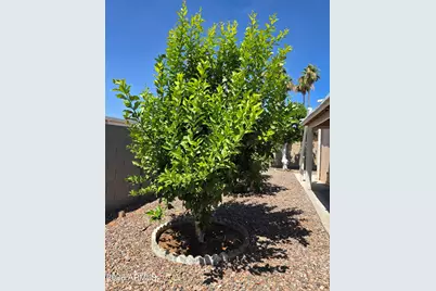 3160 E Main Lot 96 Street, Mesa, AZ 85213 - Photo 54