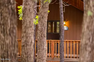 3845 Turkey Track Rd, Pinetop, AZ 85935 - Photo 4