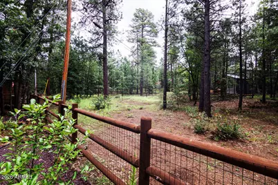 3845 Turkey Track Road, Pinetop, AZ 85935 - Photo 26