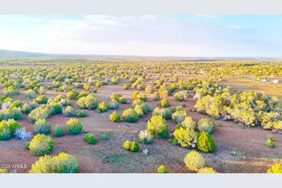 Tbd N Six Shooter Trl 20 Acres -- #211, Ash Fork, AZ 86320 - Photo 10