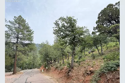 161 N Portal Drive #161, Pine, AZ 85544 - Photo 12
