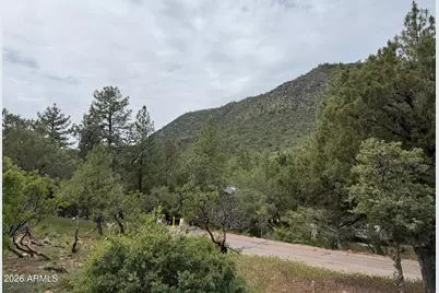 161 N Portal Drive #161, Pine, AZ 85544 - Photo 8