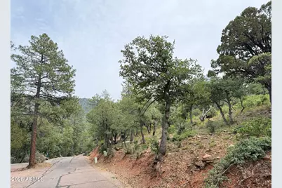 161 N Portal Drive #161, Pine, AZ 85544 - Photo 14