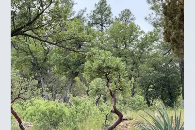161 N Portal Drive #161, Pine, AZ 85544 - Photo 4