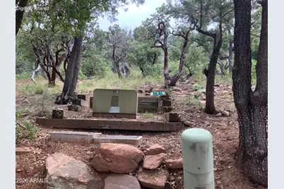 161 N Portal Drive #161, Pine, AZ 85544 - Photo 14