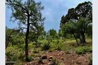 161 N Portal Drive #161, Pine, AZ 85544 - Photo 1