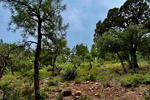 161 N Portal Dr, Pine, AZ 85544 - Photo 1