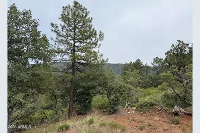 161 N Portal Drive #161, Pine, AZ 85544 - Photo 10