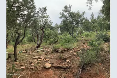 161 N Portal Drive #161, Pine, AZ 85544 - Photo 6