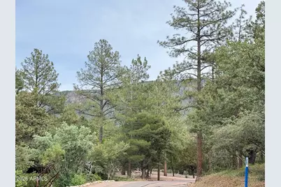 161 N Portal Drive #161, Pine, AZ 85544 - Photo 2