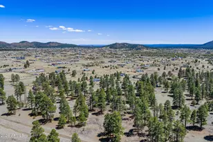 10500 Dianna Pl, Flagstaff, AZ 86004 - Photo 44