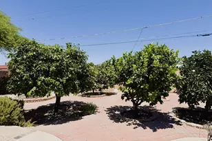 6334 E Albany St, Mesa, AZ 85205 - Photo 30