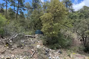 22406 S Eagle Mine Rd, Crown King, AZ 86343 - Photo 20