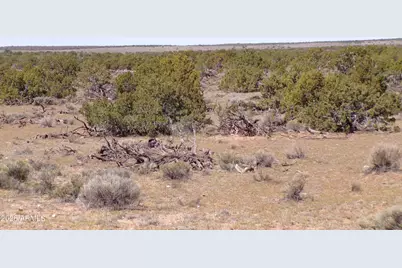 0 Ranch Road #-, Sanders, AZ 86512 - Photo 8