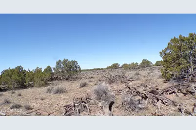 0 Ranch Road #-, Sanders, AZ 86512 - Photo 18
