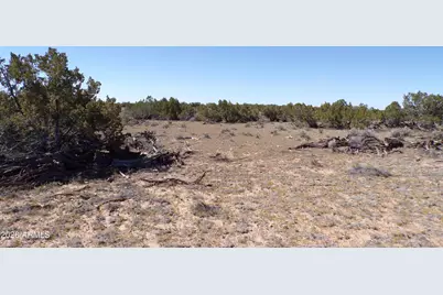 0 Ranch Road #-, Sanders, AZ 86512 - Photo 16