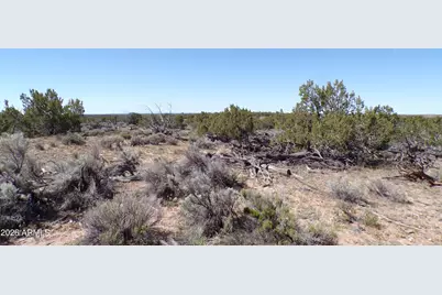 0 Ranch Road #-, Sanders, AZ 86512 - Photo 10