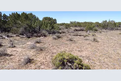 0 Ranch Road #-, Sanders, AZ 86512 - Photo 24