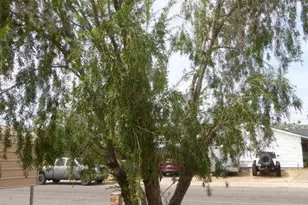303 W Greenwich Rd, Kearny, AZ 85137 - Photo 4