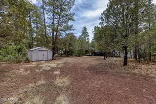 3267 Petes Retreat Rd, Lakeside, AZ 85929 - Photo 24