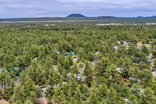 3267 Petes Retreat Rd, Lakeside, AZ 85929 - Photo 32