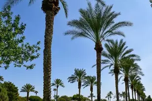 425 W Midland Ln, Gilbert, AZ 85233 - Photo 4
