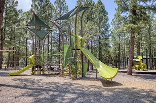 3120 W Black Oak Loop, Show Low, AZ 85901 - Photo 48