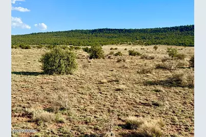 85 Co Rd 8500 Acres -- #-, Concho, AZ 85924 - Photo 26