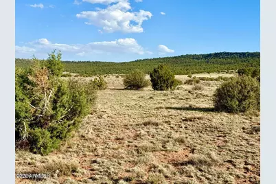 85 Co Rd 8500 Acres -- #-, Concho, AZ 85924 - Photo 14