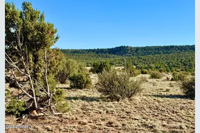 85 Co Rd 8500 Acres -- #-, Concho, AZ 85924 - Photo 16