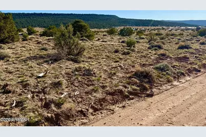 85 Co Rd 8500 Acres -- #-, Concho, AZ 85924 - Photo 6