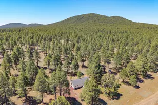 5641 E Garland Prairie Rd, Williams, AZ 86046 - Photo 16