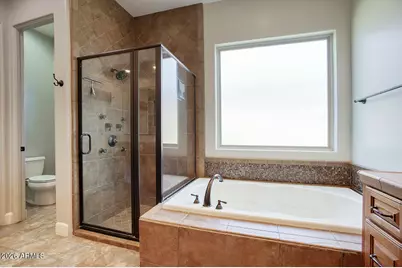 9909 S 6th Place, Phoenix, AZ 85042 - Photo 20