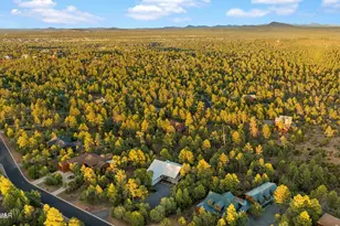 2361 S Sierra Park Trail, Show Low, AZ 85901 - Photo 46