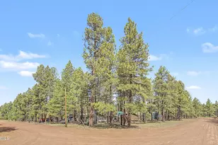 3909 E Pine Cone Dr, Williams, AZ 86046 - Photo 36