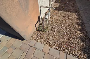 1173 E Mary Ln, Gilbert, AZ 85295 - Photo 30