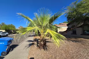1173 E Mary Ln, Gilbert, AZ 85295 - Photo 28