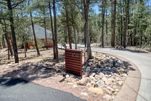 1011 Hillside Dr, Show Low, AZ 85901 - Photo 12