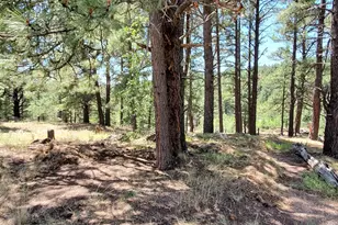 2678 Mesa Trail, Flagstaff, AZ 86005 - Photo 6