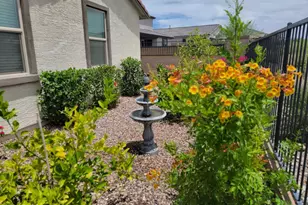 31933 N 124th Dr, Peoria, AZ 85383 - Photo 64