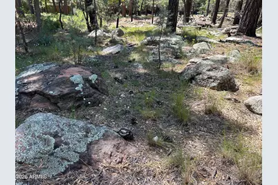 374 N Majestic Elk Lane #37, Payson, AZ 85541 - Photo 26