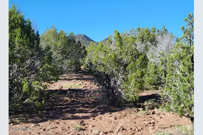107A N Ranch Road #107A, Williams, AZ 86046 - Photo 14